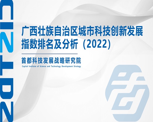 B性爱视频【成果发布】广西壮族自治区城市科技创新发展指数排名及分析（2022）